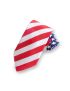 Four-in-Hand Patriotic Tie